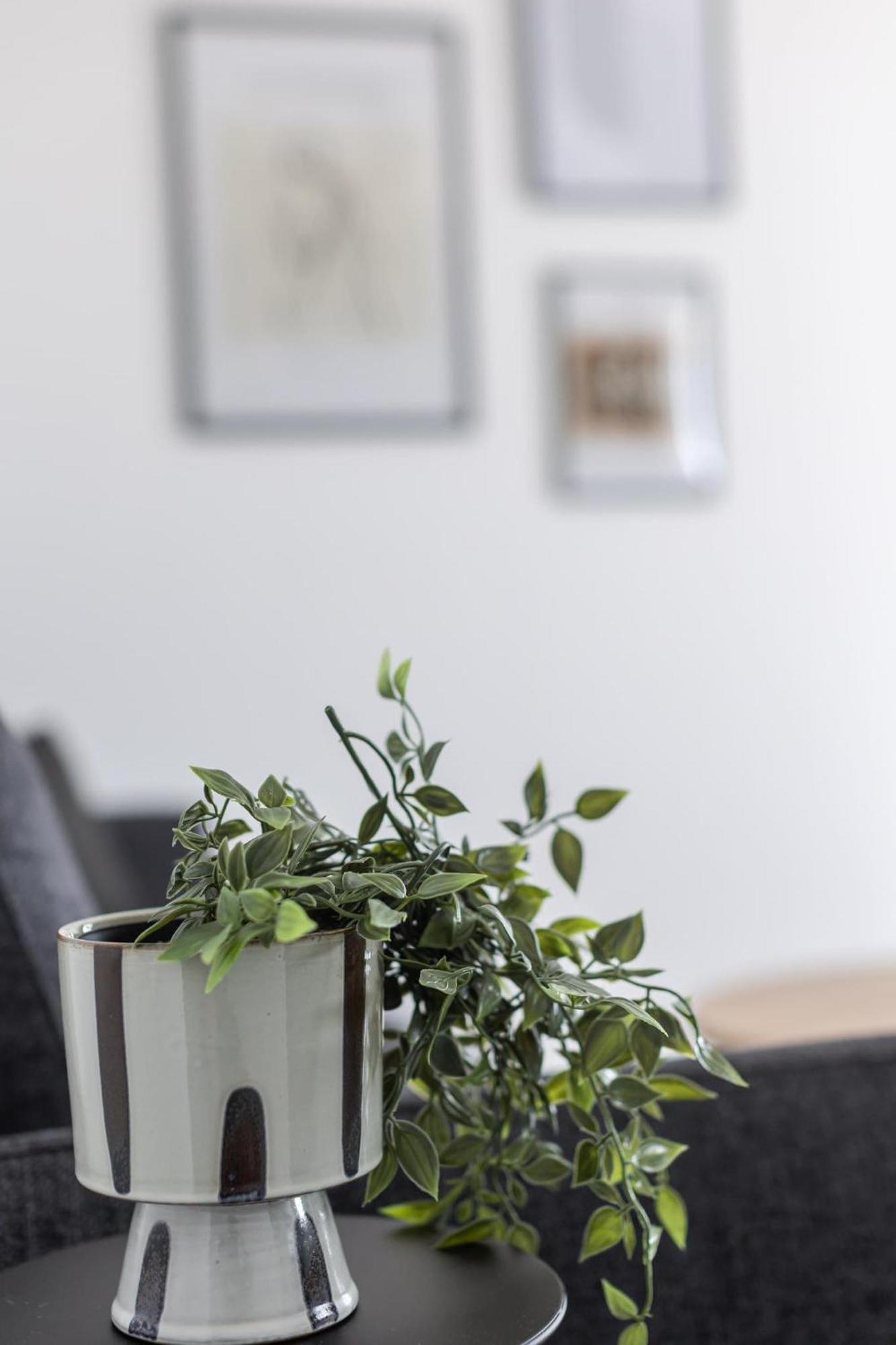 טרוגיר Apartments Antico מראה חיצוני תמונה